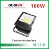 outdoor led flood light 100w