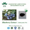 Blueberry extract anthocyanin