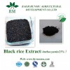 black rice extract