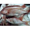 singapore processing FROZEN SEAFOODS