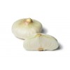 processing EGYPTIAN WHITE ONION BULB [Egypt]