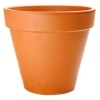 processing FLOWER POT