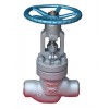 power station Globe valve