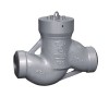 Power plant check valve