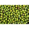 singapore seek MYANMAR BEANS. PULSES & SESAME SEEDS agency