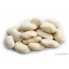 singapore seek BUTTER BEANS agency