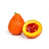 seek GAC Fruit agency