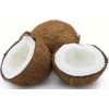 singapore seek coconut agency