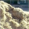 processing Dry Sugar Cane Residue