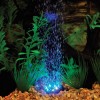 seek Aquarium Decoration agency