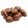 processing Chestnut