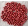 processing Red Skin Peanut Kernels