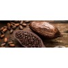 processing Cocoa Beans