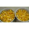processing Canned Corn Products