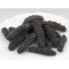 seek DRIED SEA CUCUMBER agency