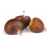 singapore processing singapore supply Chestnut