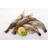 processing supply Fresh Water Blue Prawns (Frozen)