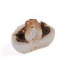White Porcini mushroom Slice and boletus edulis