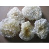 Health product of caterpillar fungus and White Fungus tremella