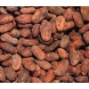 Cocoa Beans for Sale