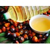 Palm oil and cooking oils