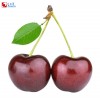 Cherry phagostimulant