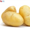 Cooked potato phagostimulant