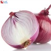 Onion phagostimulant