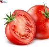Tomato water soluble flavor