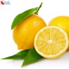 Lemon oil soluble flavor
