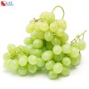 Grape oil soluble flavor