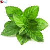 Peppermint oil soluble flavor