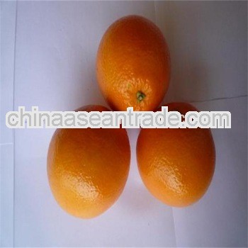 New crop fresh orange fruit price