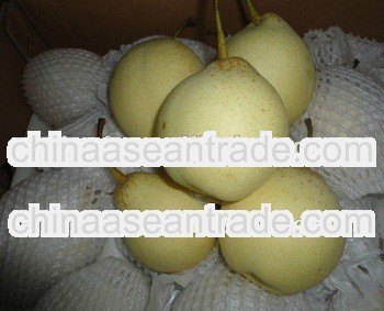 fresh pear bulk purchase,chinese fresh pears for sale