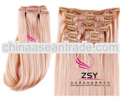 2013 Best selling hot wholesale indian virgin remy clip in hair extension