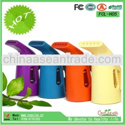 2013 Hot Sale Industrial Fabric Steamer/Mini Garment Steamer Iron