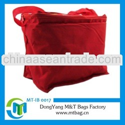 Portable ice cooler bag for medication