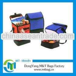 Serious kinds of disposable cooler bag