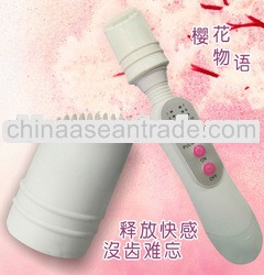 12 Mode Functions Vibration Sex Toys AV Massager