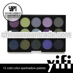 15 Cold Color Eyeshadow Palette shiny eyeshadow makeup
