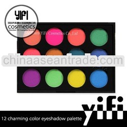 Own brand! TZ 12 magnetic makeup palette cosmeitc eye brush