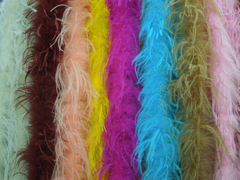 New Arrival! 2Meters/Lot OSTRICH FEATHER BOA Costumes/Trim for Party/Costume/Shawl/Craft 26colours A