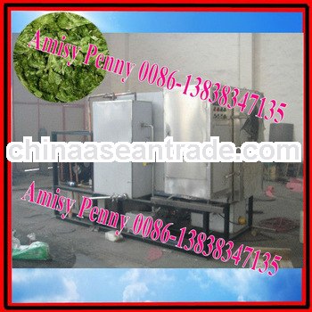 0132 stainless steel vacuum freeze dehydration machine for fruit, vegetable,food,meat/0086-138383471