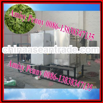 0132 stainless steel vacuum freeze sea cucumber dryer/sea cucumber drying machine/0086-13838347135