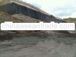 Coal fob MV