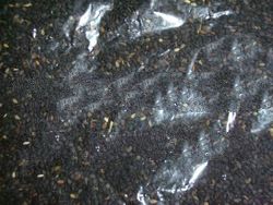 Black Sesame Seeds