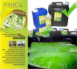 ANTICA Organic Fungicide and Bactericide