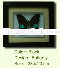 Butterfly Frame