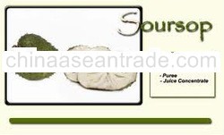 GRAVIOLA GUYABANO SOURSOP CONCENTRATE