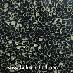 seashell tiles for wall and floor from shell